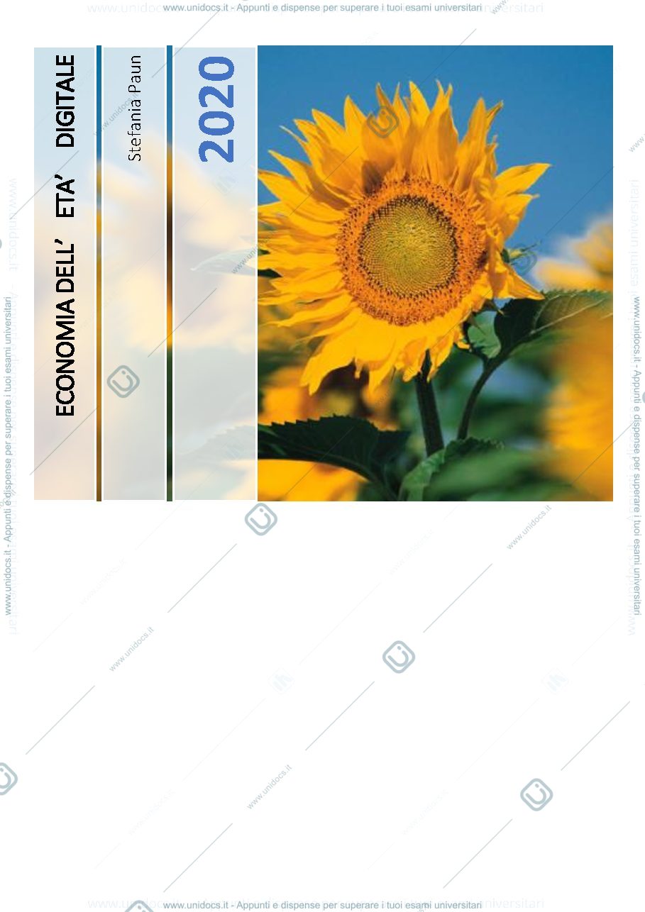 Anteprima pagina 1 — Appunti videolezioni economia/riassunto alcuni capitoli libro 