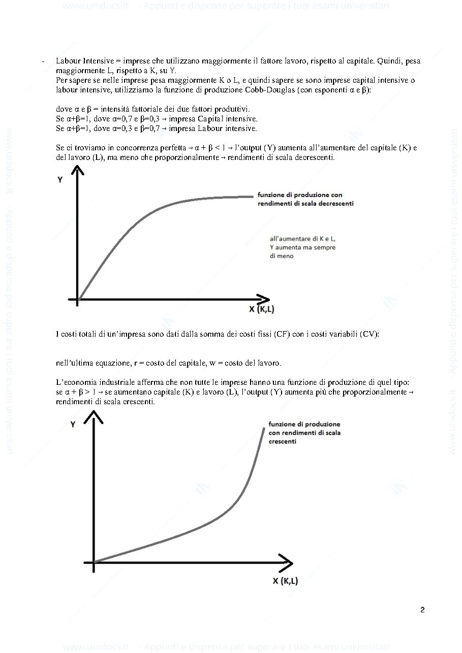 Anteprima pagina 2 — appunti di economia dell'impresa e dell'industria