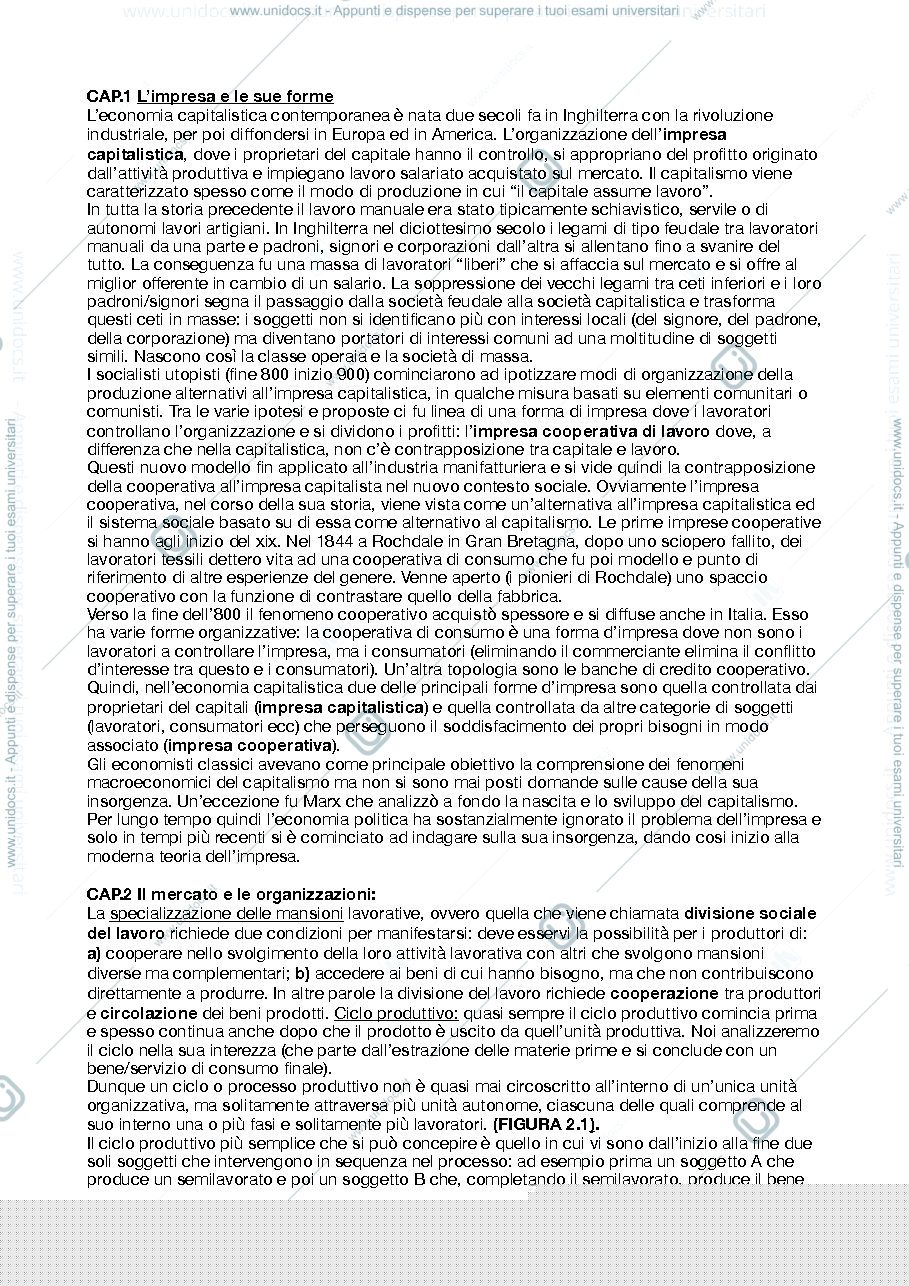 Anteprima pagina 1 — riassunti economia dell'organizzazione