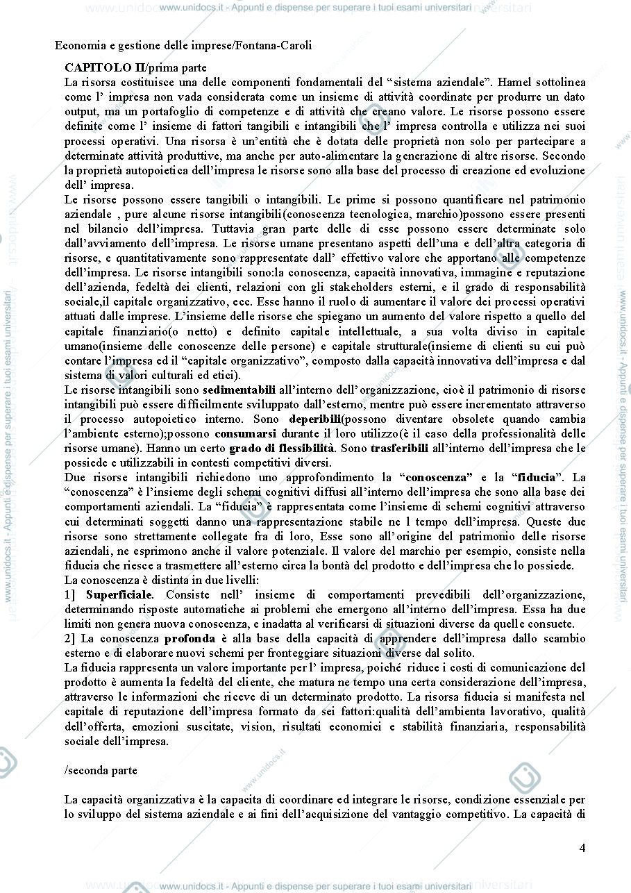 Anteprima pagina 4 — riassunto eco e gestione delle imprese