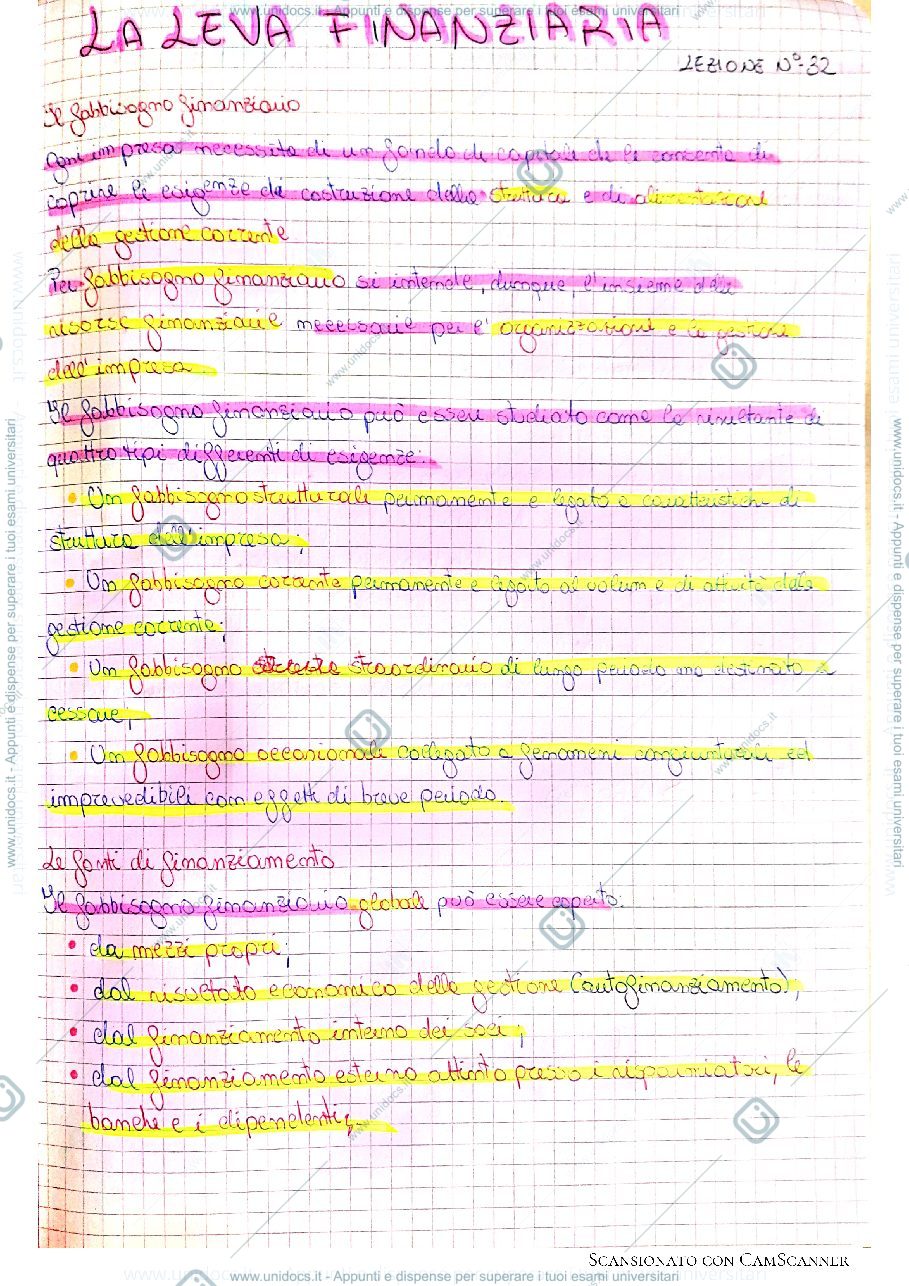 Anteprima pagina 1 — Fabbisogno finanziario ed effetto leva finanziaria