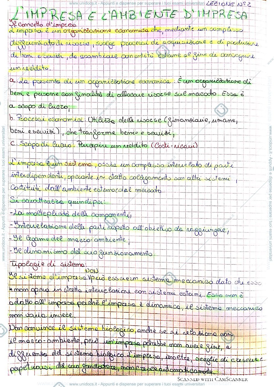 Anteprima pagina 1 — Il concetto di impresa e i sistemi di essa