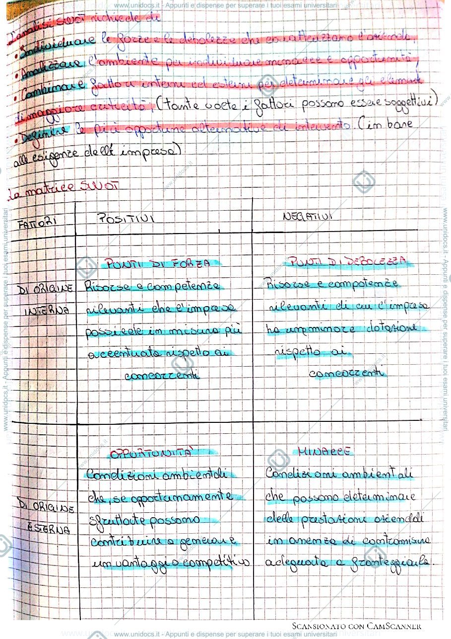 Anteprima pagina 2 — Analisi Swot