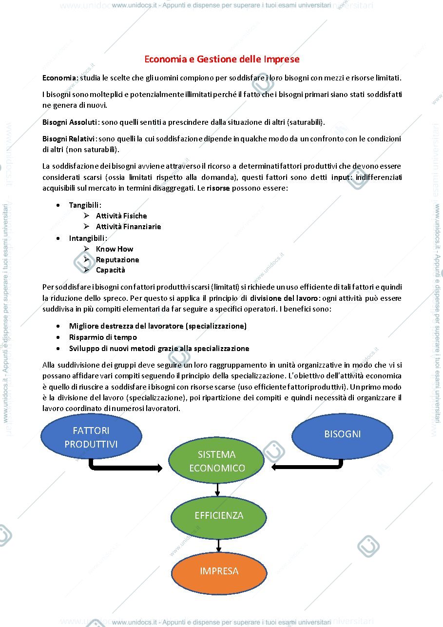 Anteprima pagina 1 — Economia e Gestione delle imprese