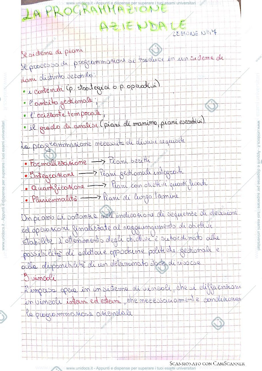 Anteprima pagina 1 — La programmazione aziendale