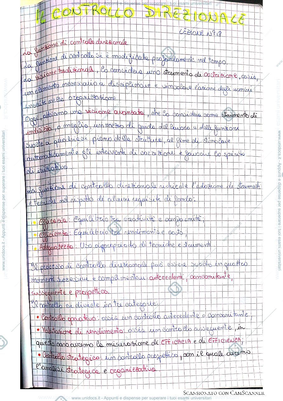 Anteprima pagina 1 — Controllo di direzione