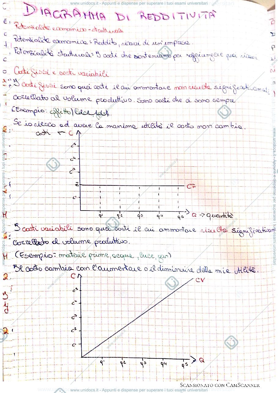 Anteprima pagina 1 — Il diagramma di redditività