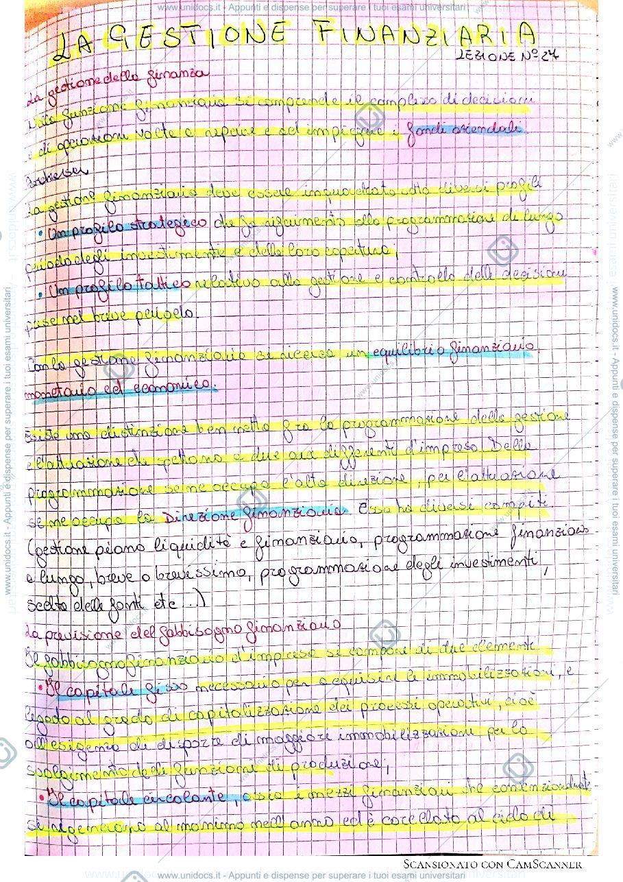 Anteprima pagina 1 — La gestione finanziaria