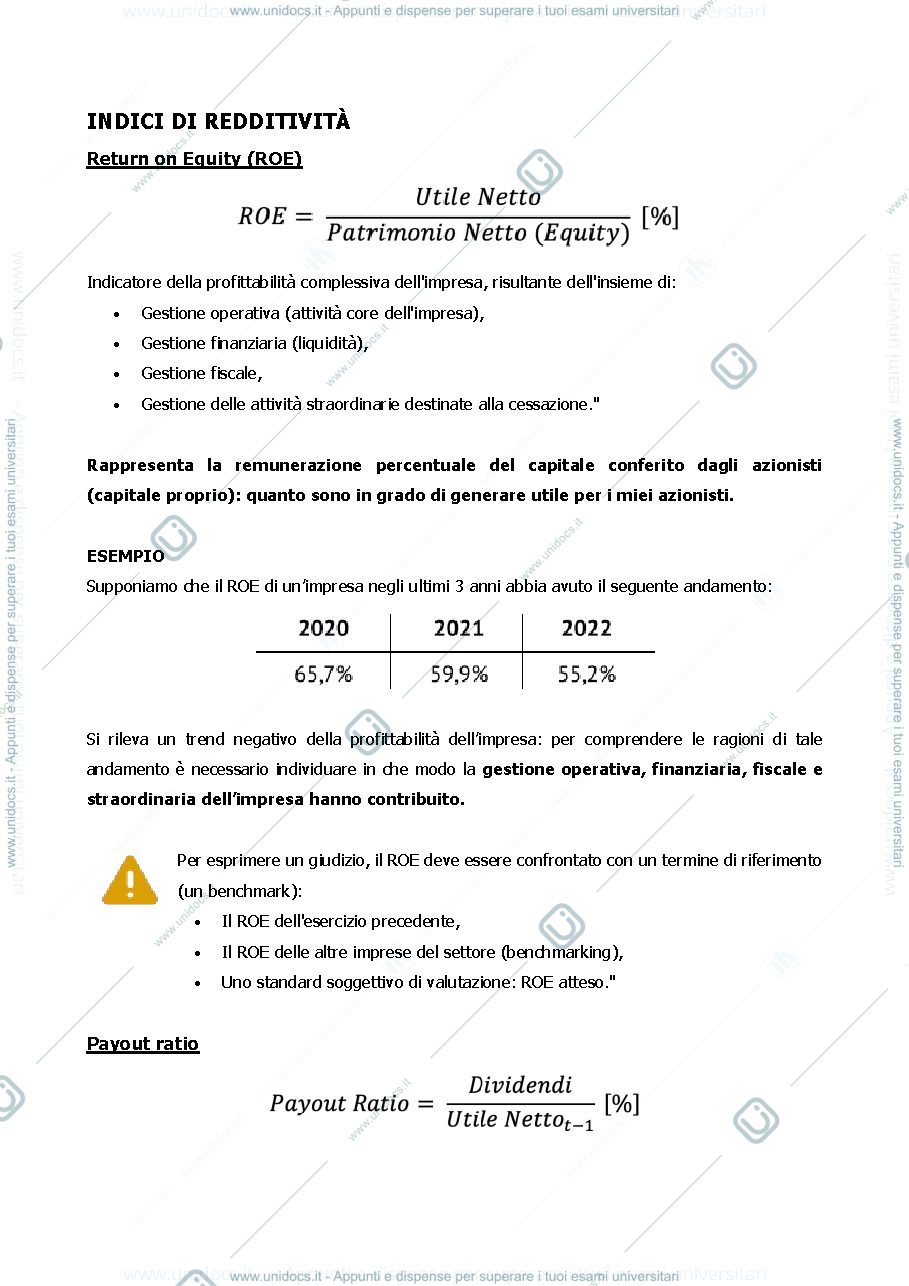 Anteprima pagina 2 — analisi di bilancio, indici di redditività