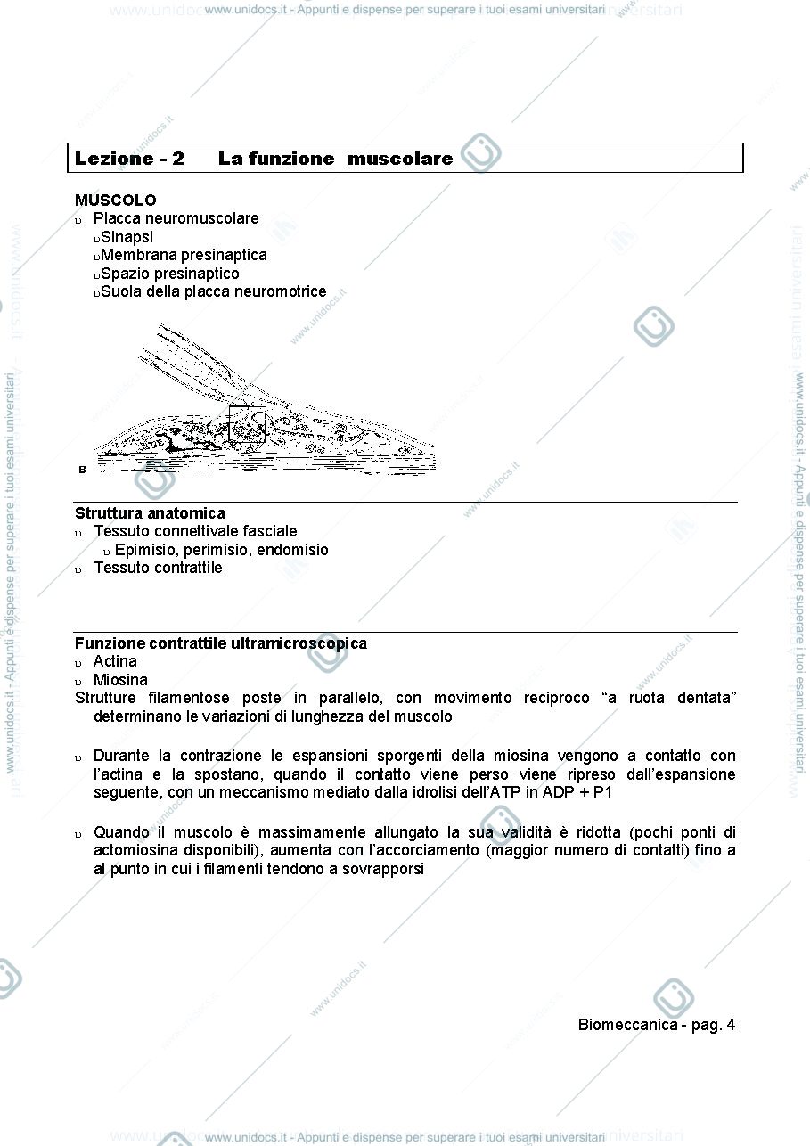 Anteprima pagina 4 — BIOMECCANICA