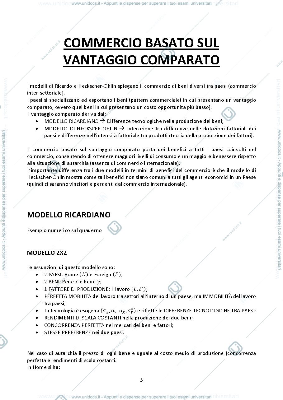 Anteprima pagina 5 — Riassunti economia internazionale