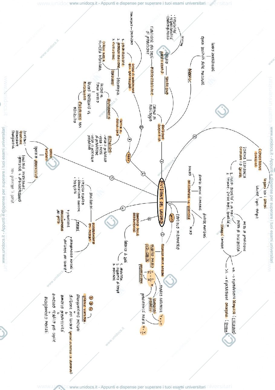 Anteprima pagina 1 — Mappe mentali economia politica I