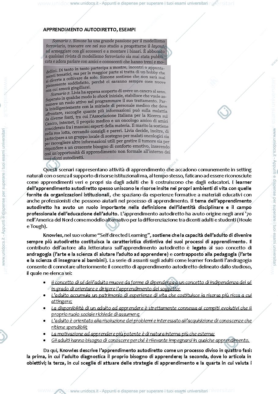 Anteprima pagina 3 — L'apprendimento adulto