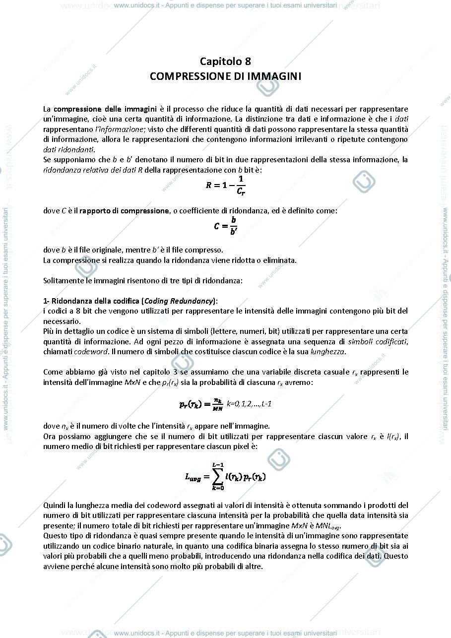 Anteprima pagina 1 — Riassunto capitolo 8