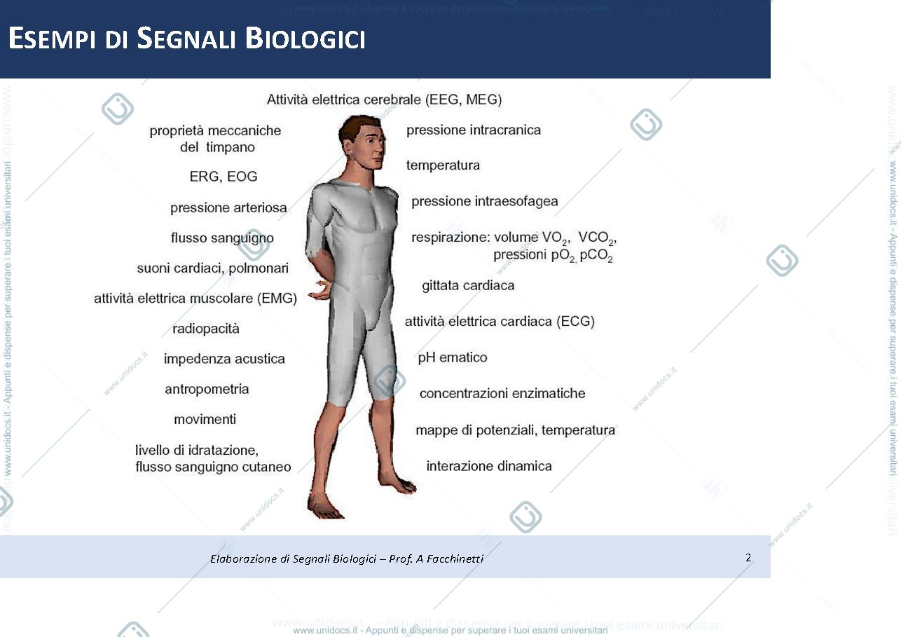 Anteprima pagina 2 — slide introduzione al corso