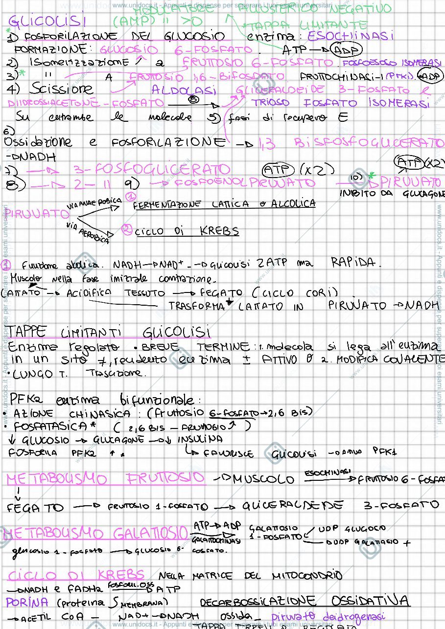 Anteprima pagina 1 — Biochimica