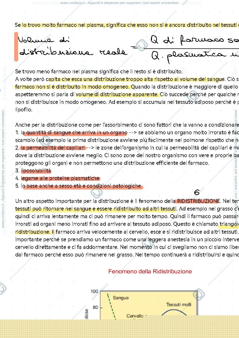 Anteprima pagina 3 — Farmacocinetica