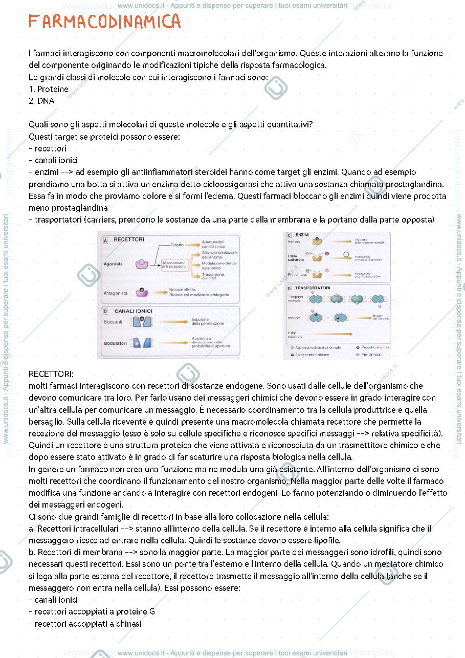 Anteprima pagina 1 — Farmacodinamica