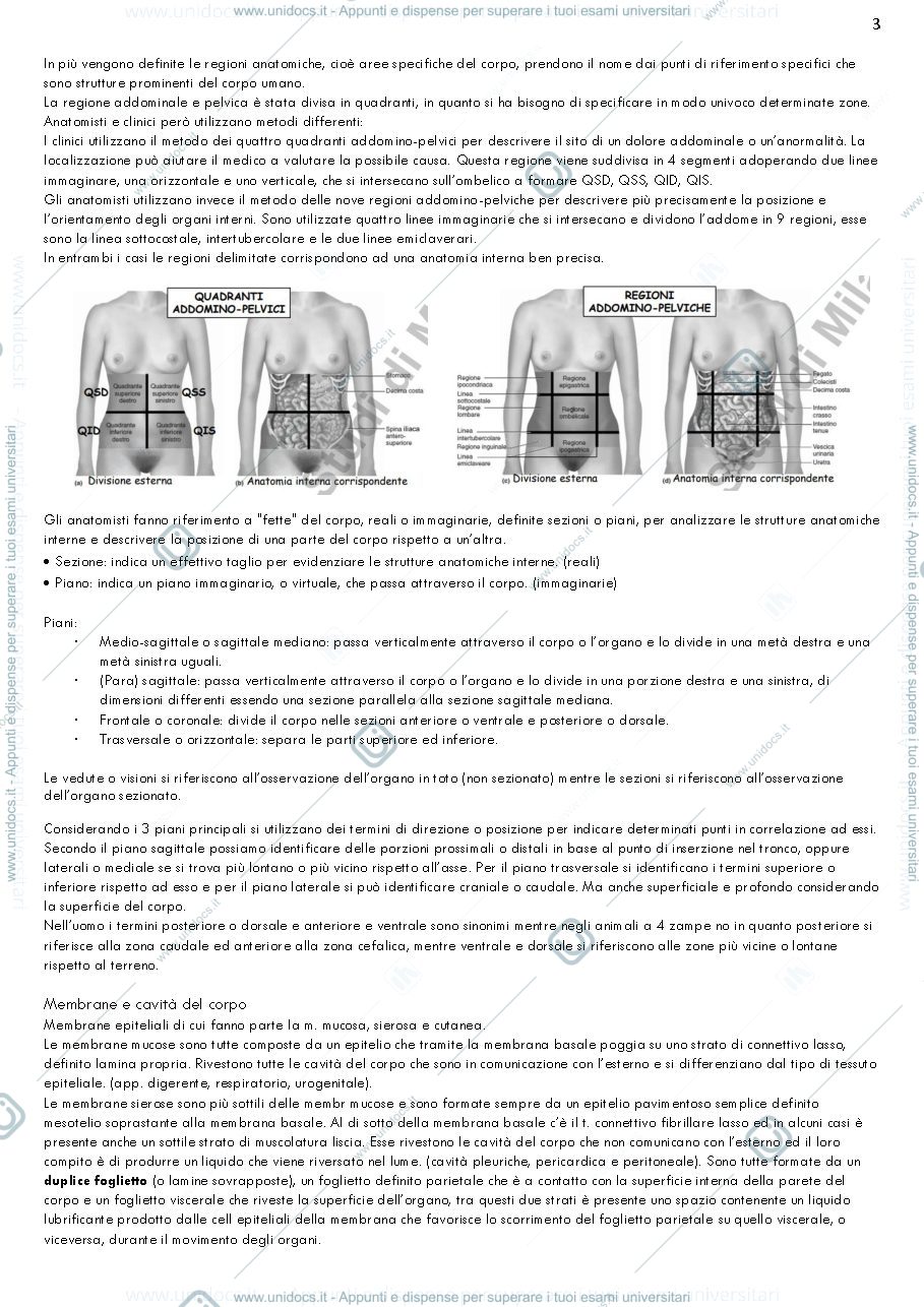 Anteprima pagina 3 — Anatomia umana