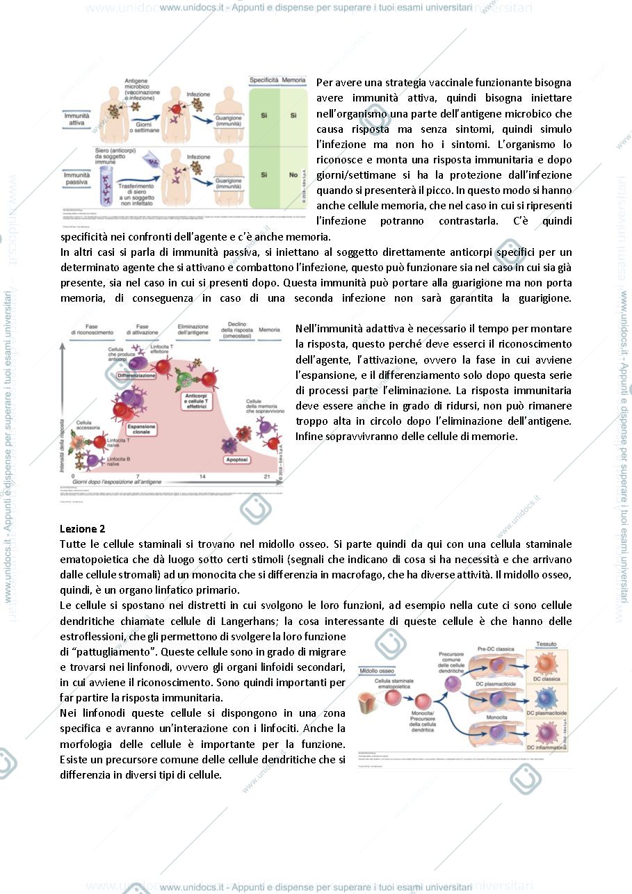 Anteprima pagina 2 — Appunti immunologia