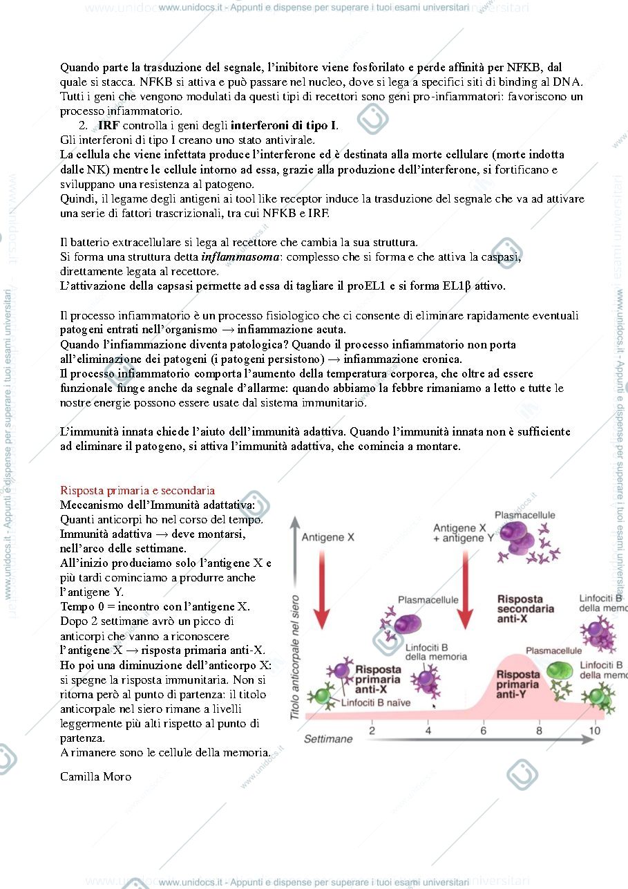 Anteprima pagina 2 — Immunologia 