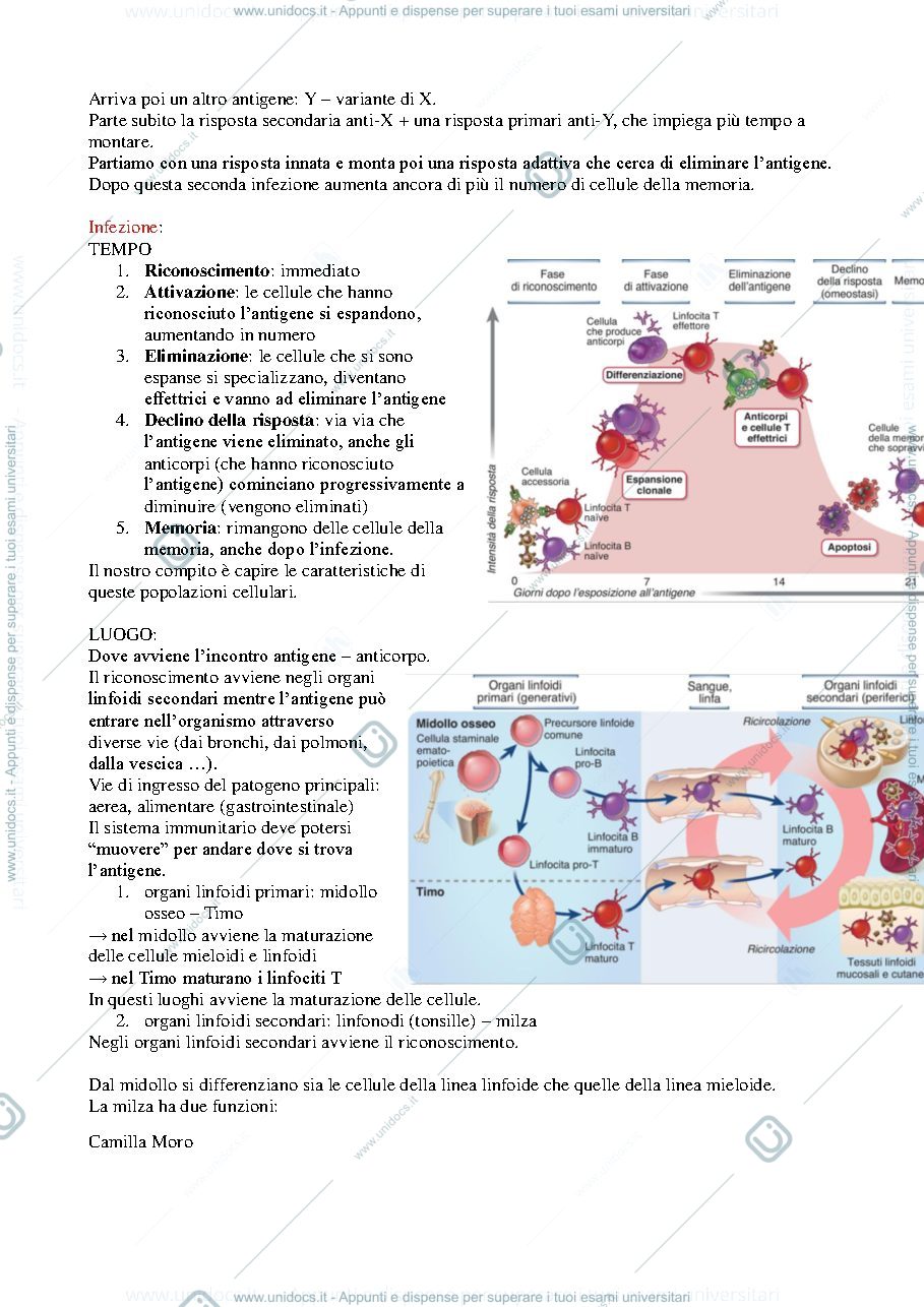 Anteprima pagina 3 — Immunologia 