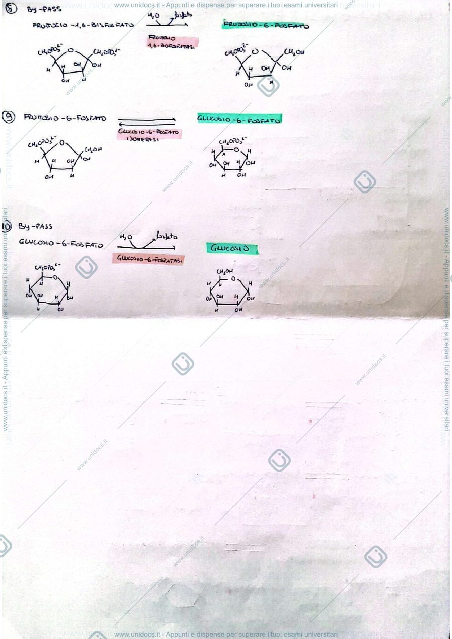Anteprima pagina 1 — Elementi di biochimica vie metaboliche