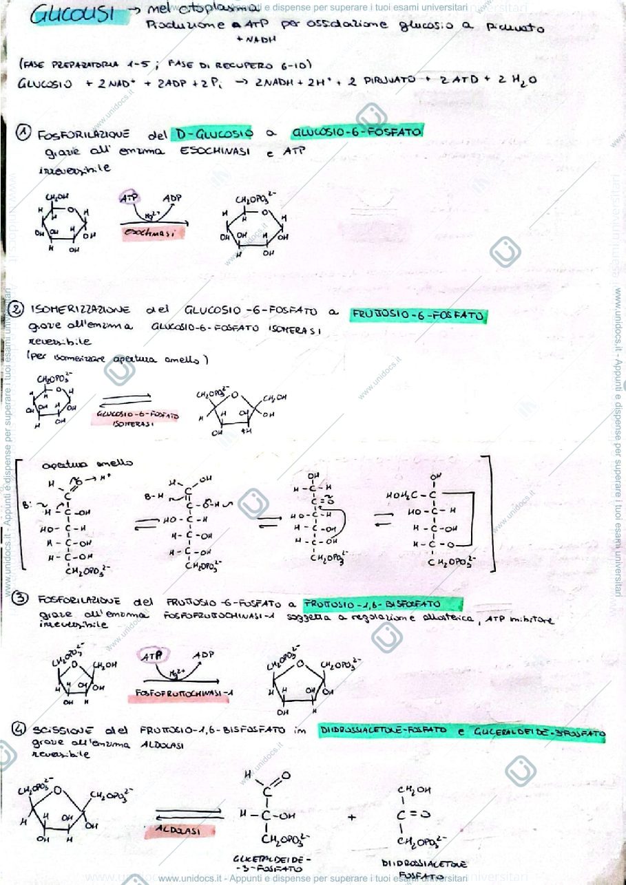 Anteprima pagina 2 — Elementi di biochimica vie metaboliche