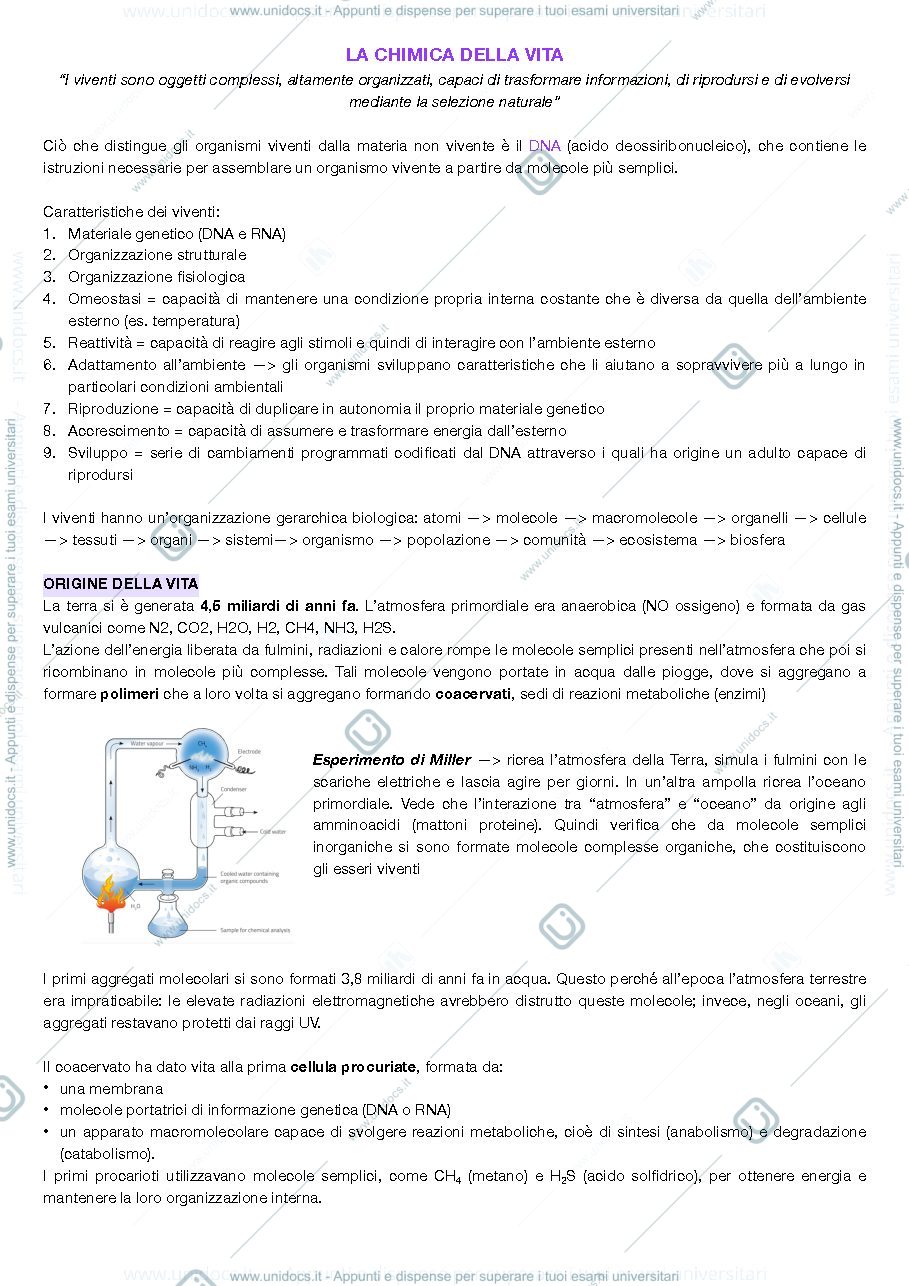 Anteprima pagina 1 — Produzioni vegetali primo parziale 
