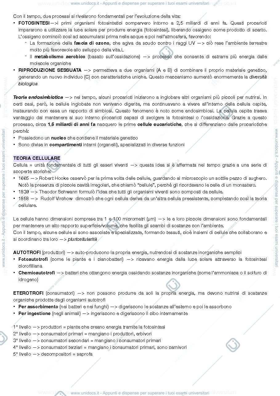 Anteprima pagina 2 — Produzioni vegetali primo parziale 
