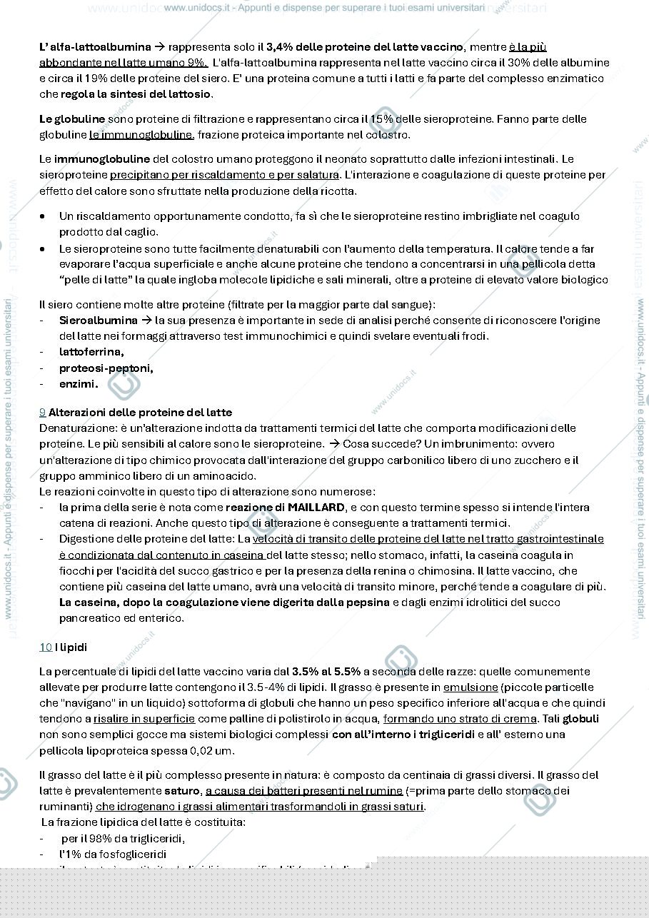 Anteprima pagina 3 — il latte