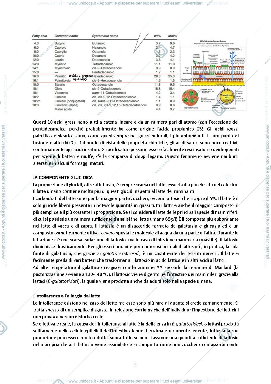 Anteprima pagina 2 — SBOBINE BIOLOGIA ANIMALE - PROF TAMBURINI