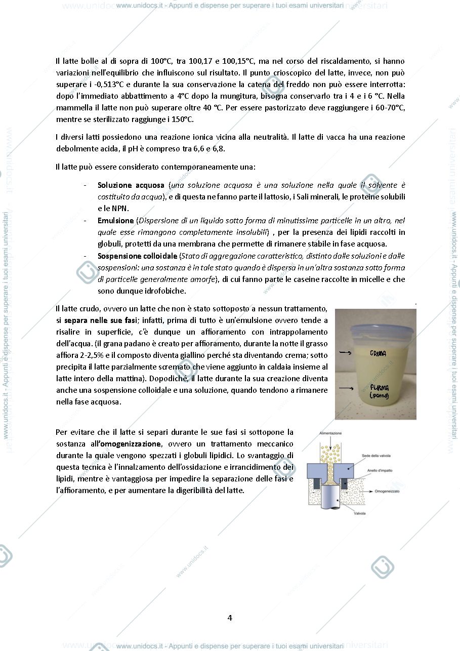 Anteprima pagina 4 — SBOBINE BIOLOGIA ANIMALE - PROF TAMBURINI