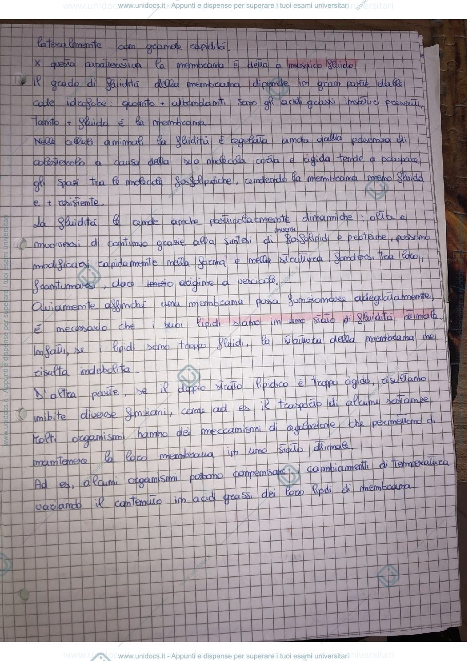 Anteprima pagina 2 — Membrana cellulare