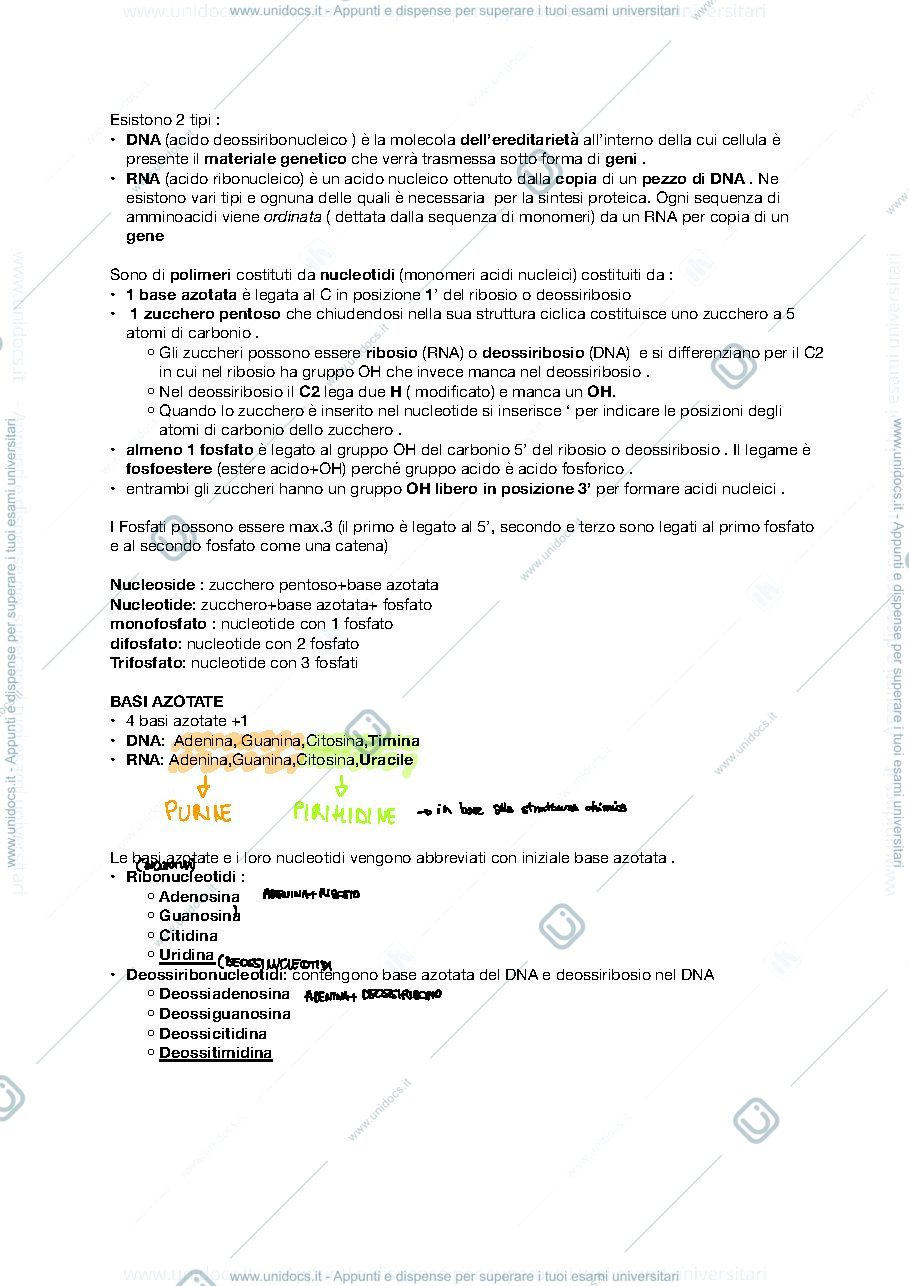 Anteprima pagina 1 — Appunti Elementi di biologia generale Mod.2