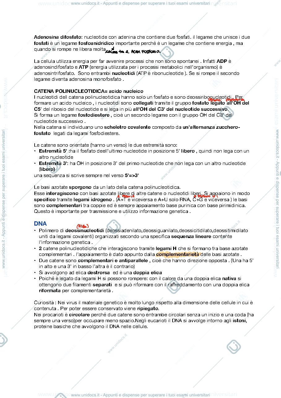 Anteprima pagina 2 — Appunti Elementi di biologia generale Mod.2