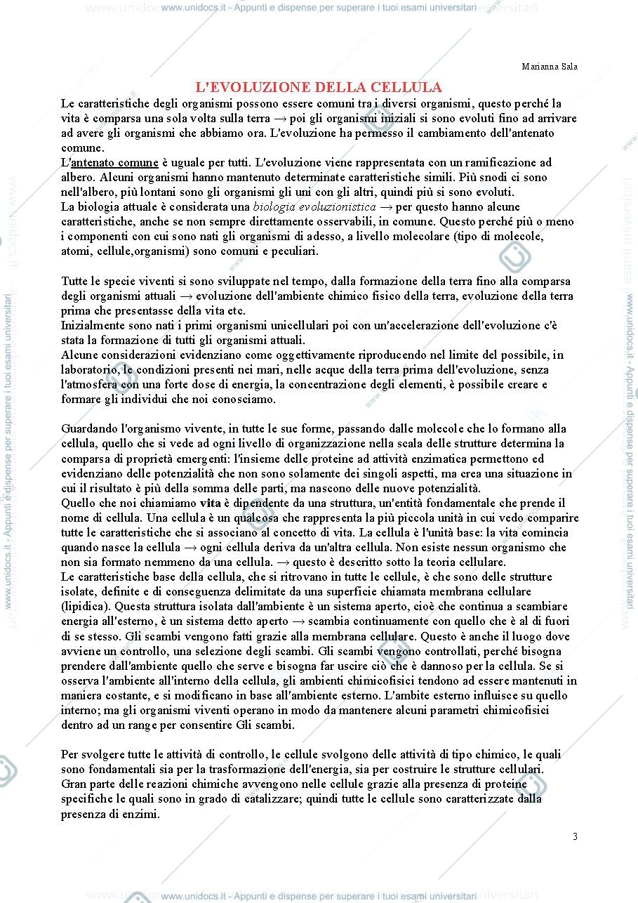 Anteprima pagina 3 — esame biologia generale 1 anno