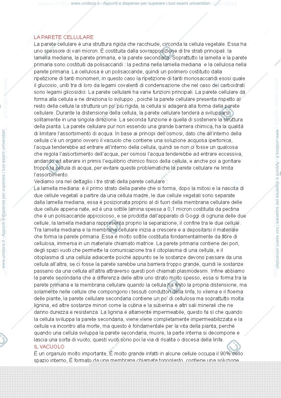 Anteprima pagina 1 — biologia