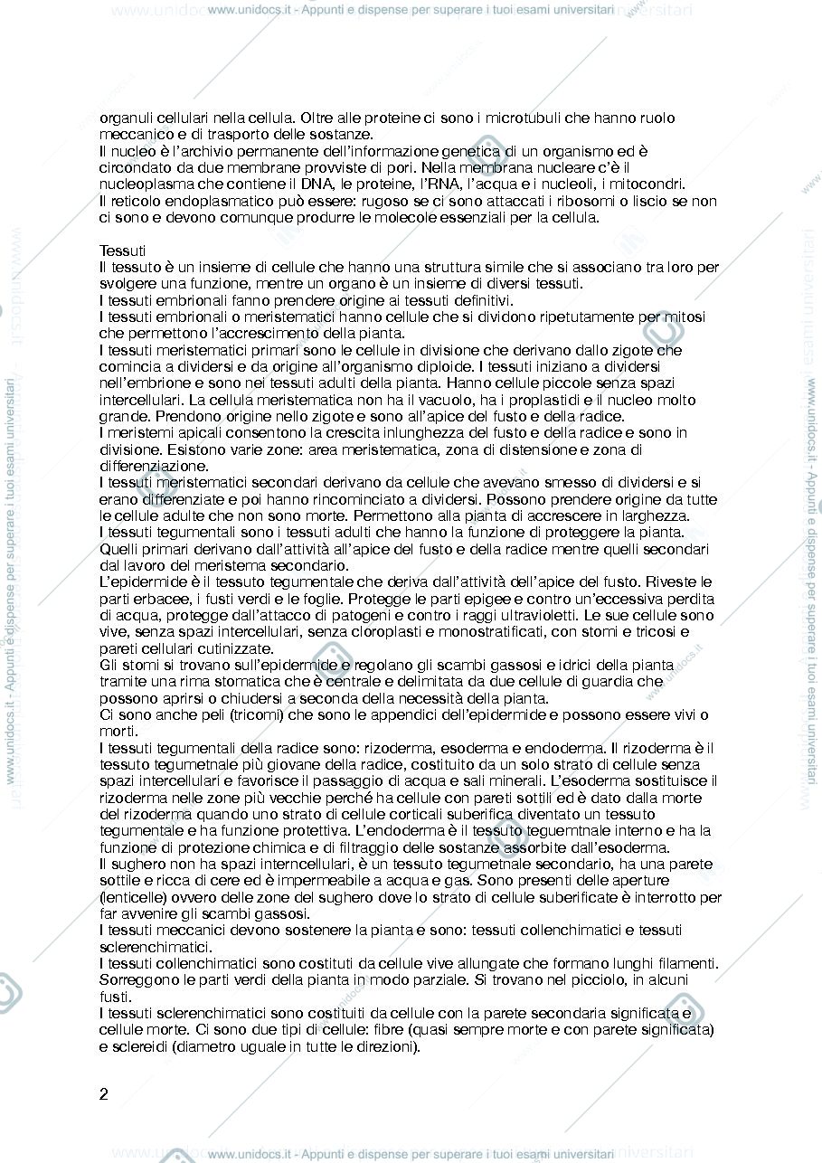 Anteprima pagina 2 — riassunto biologia