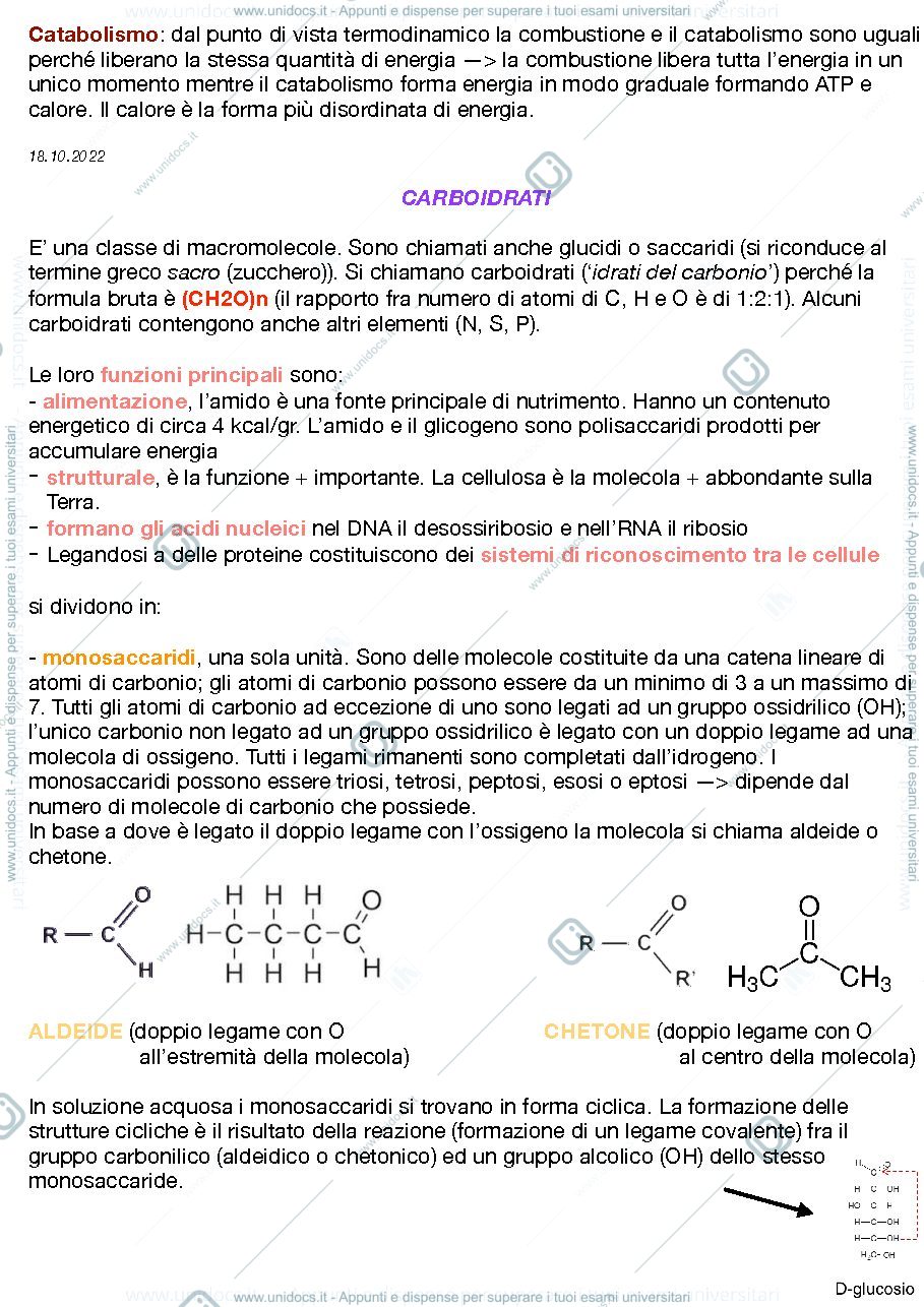 Anteprima pagina 2 — BIOCHIMICA