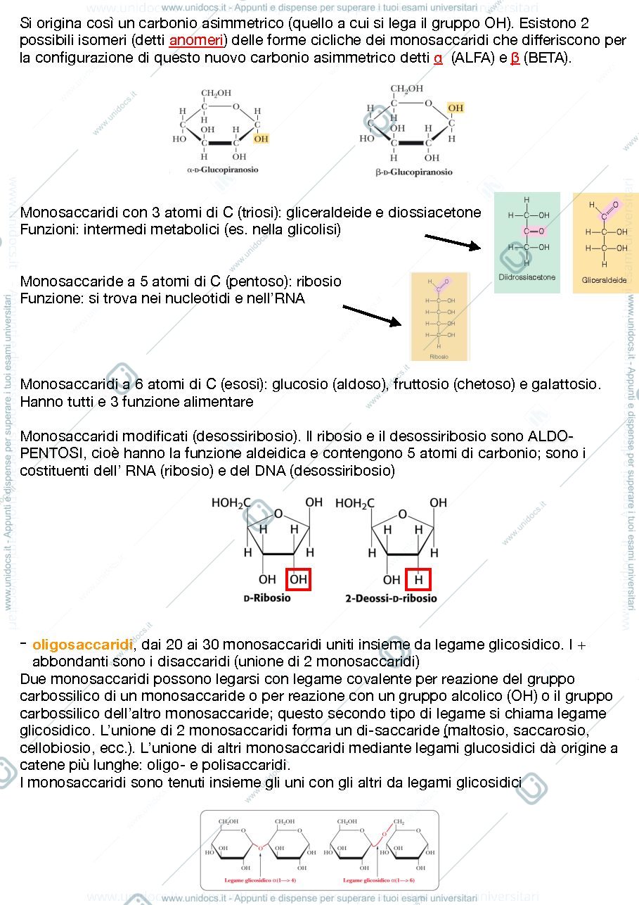 Anteprima pagina 3 — BIOCHIMICA