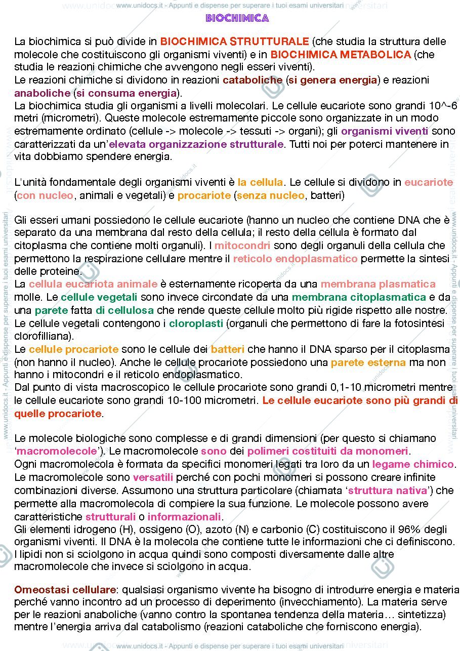 Anteprima pagina 1 — Appunti di Biochimica, facoltà delle Scienze Motorie e Sportive