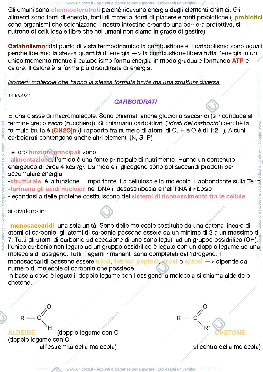 Anteprima pagina 2 — Appunti di Biochimica, facoltà delle Scienze Motorie e Sportive