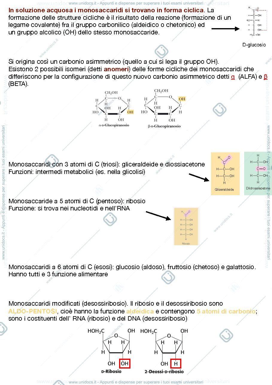 Anteprima pagina 3 — Appunti di Biochimica, facoltà delle Scienze Motorie e Sportive
