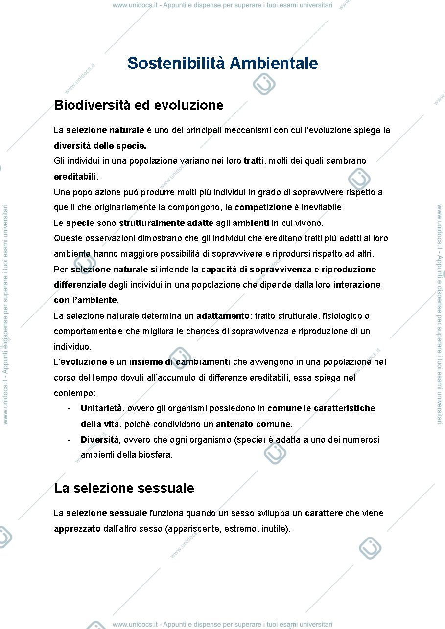 Anteprima pagina 1 — Sostenibilità Ambientale