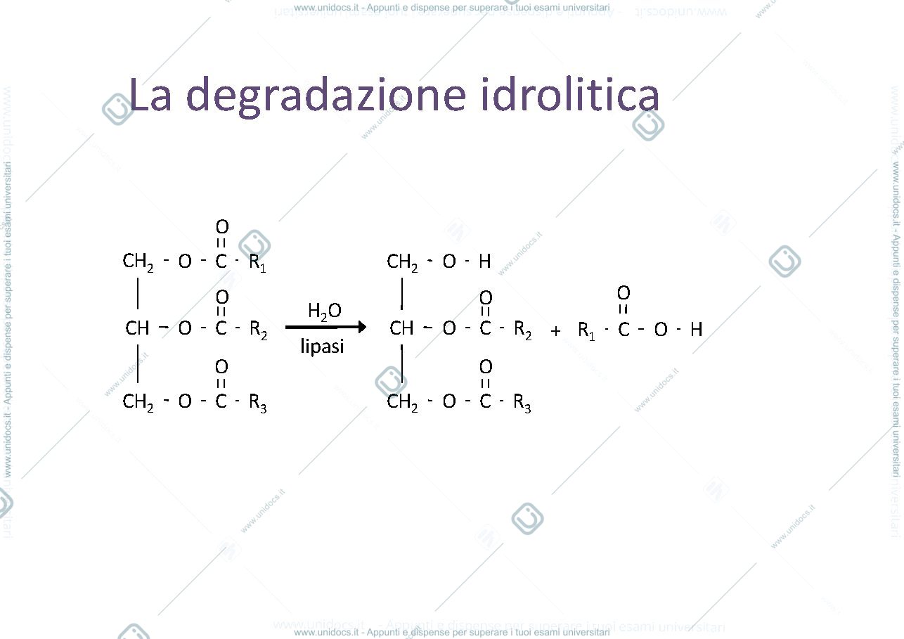 Anteprima pagina 1 — Bnh