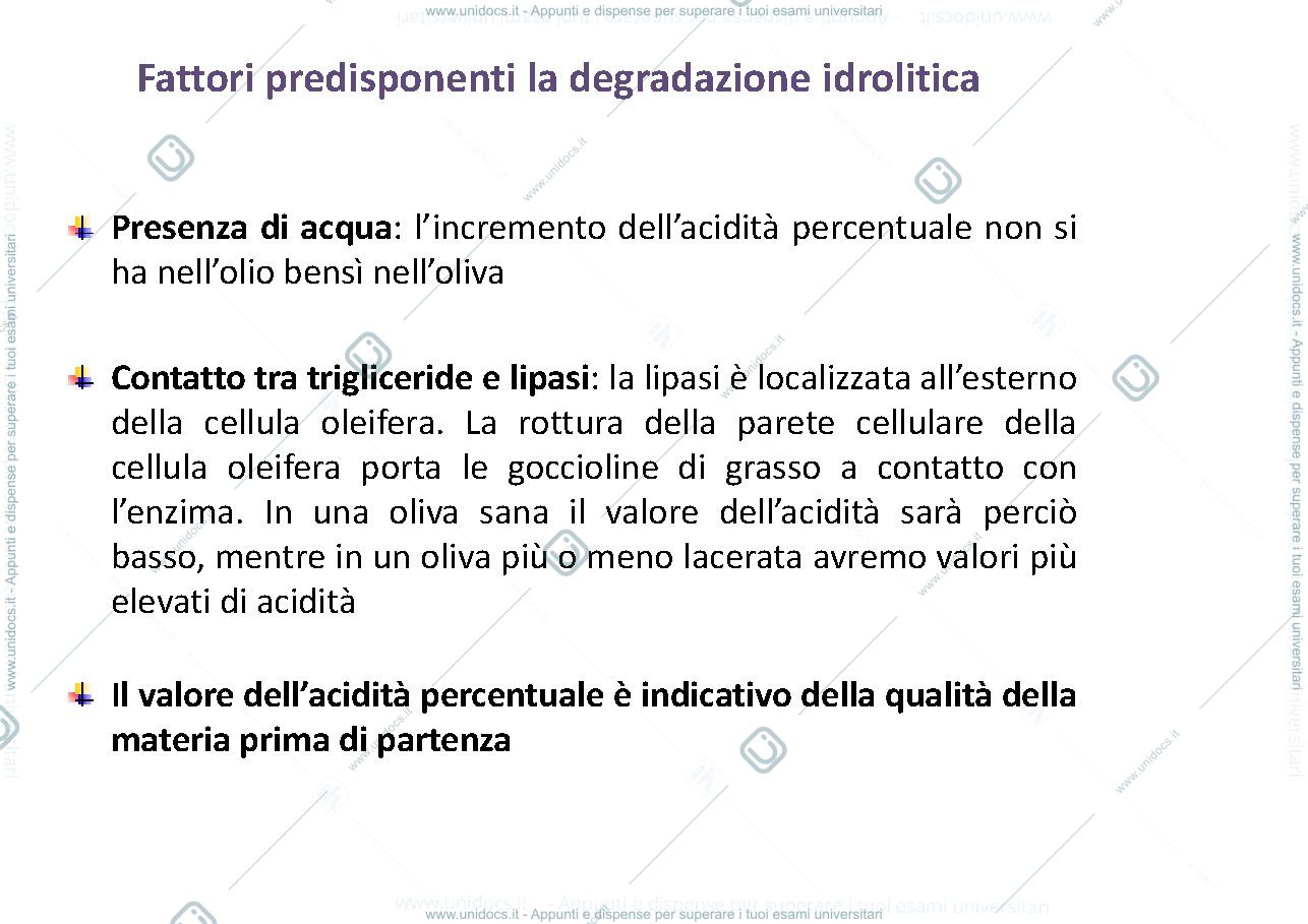 Anteprima pagina 2 — Bnh