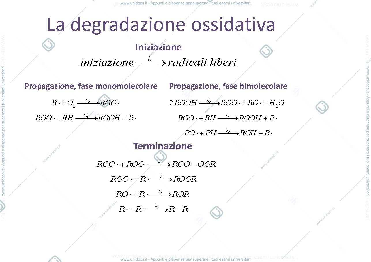 Anteprima pagina 3 — Bnh