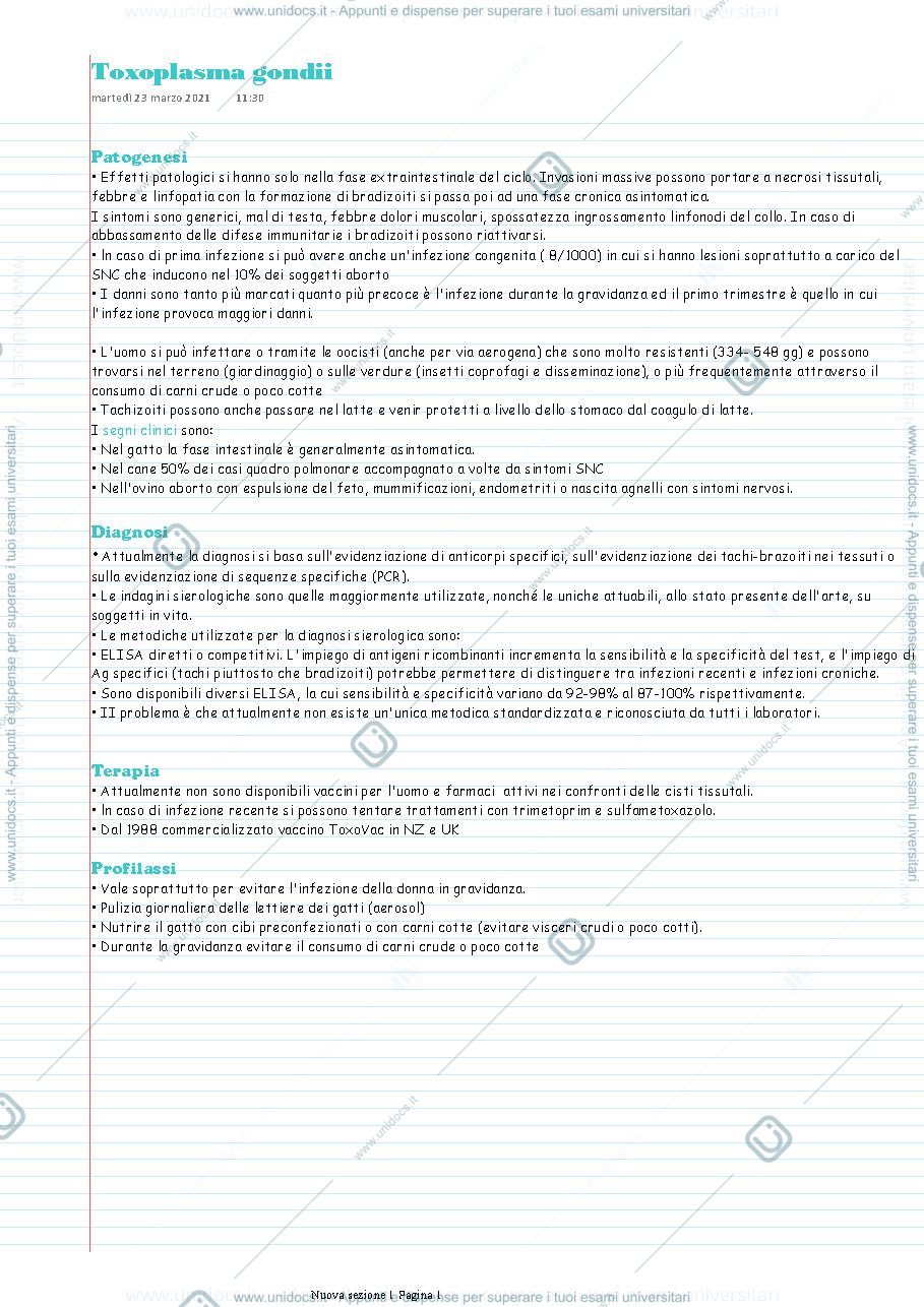 Anteprima pagina 1 — Toxoplasma gondii
