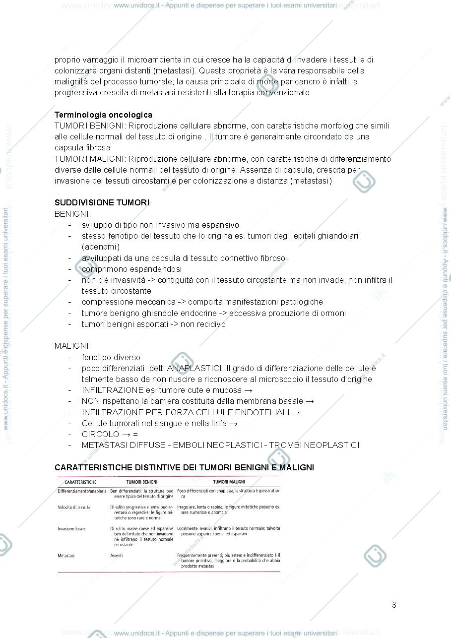 Anteprima pagina 3 — Slide Oncologia 
